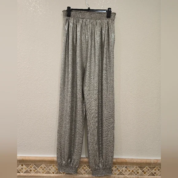 Anthropologie Metalic Silver Joggers Elastic Waist Size M - Picture 1 of 6